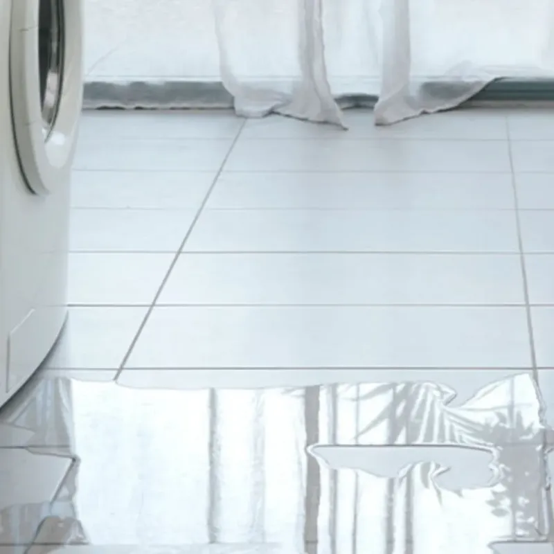 Appliance Leak Cleanup in Roseland, LA