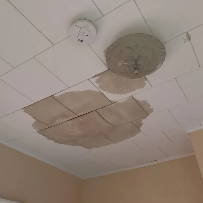 Ceiling Water Damage Repair in Roseland, LA